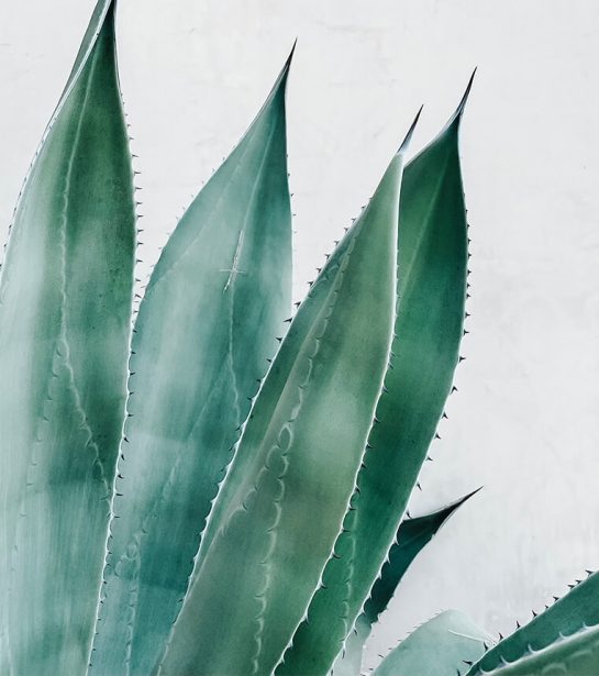 derick-mckinney-1579491-unsplash-double-images-cm derick-mckinney-1579491-unsplash-double-images-cm